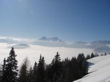 Klik za večjo sliko